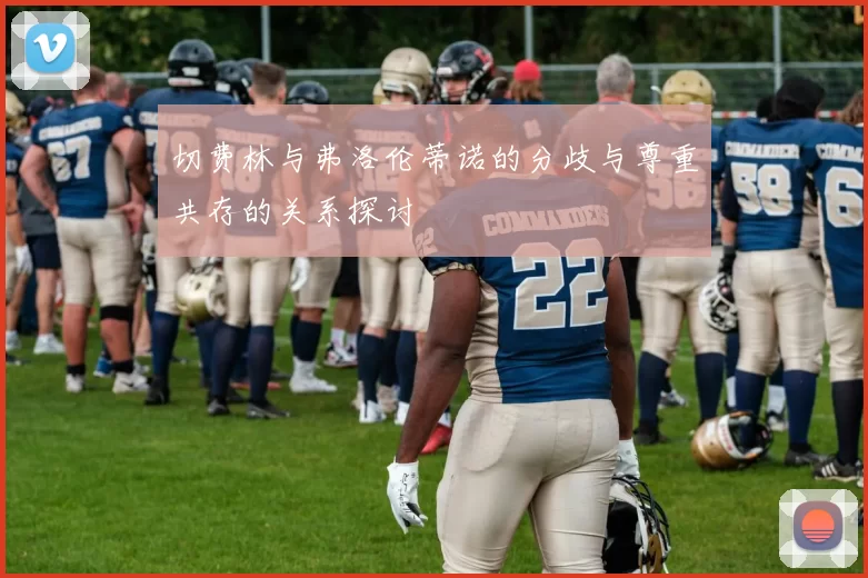切费林与弗洛伦蒂诺的分歧与尊重共存的关系探讨